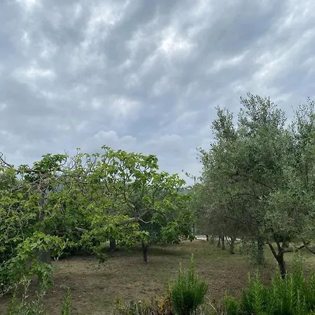 La Rosa