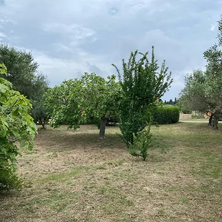 La Rosa *